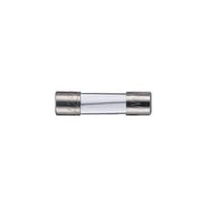 5.2x20mm Glass Fuse(Time-Delay)
